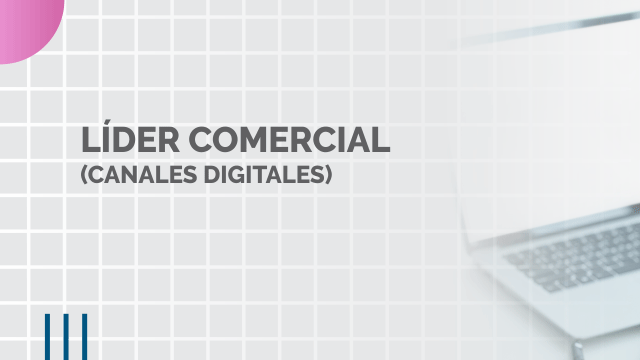 líder comercial - empresa local