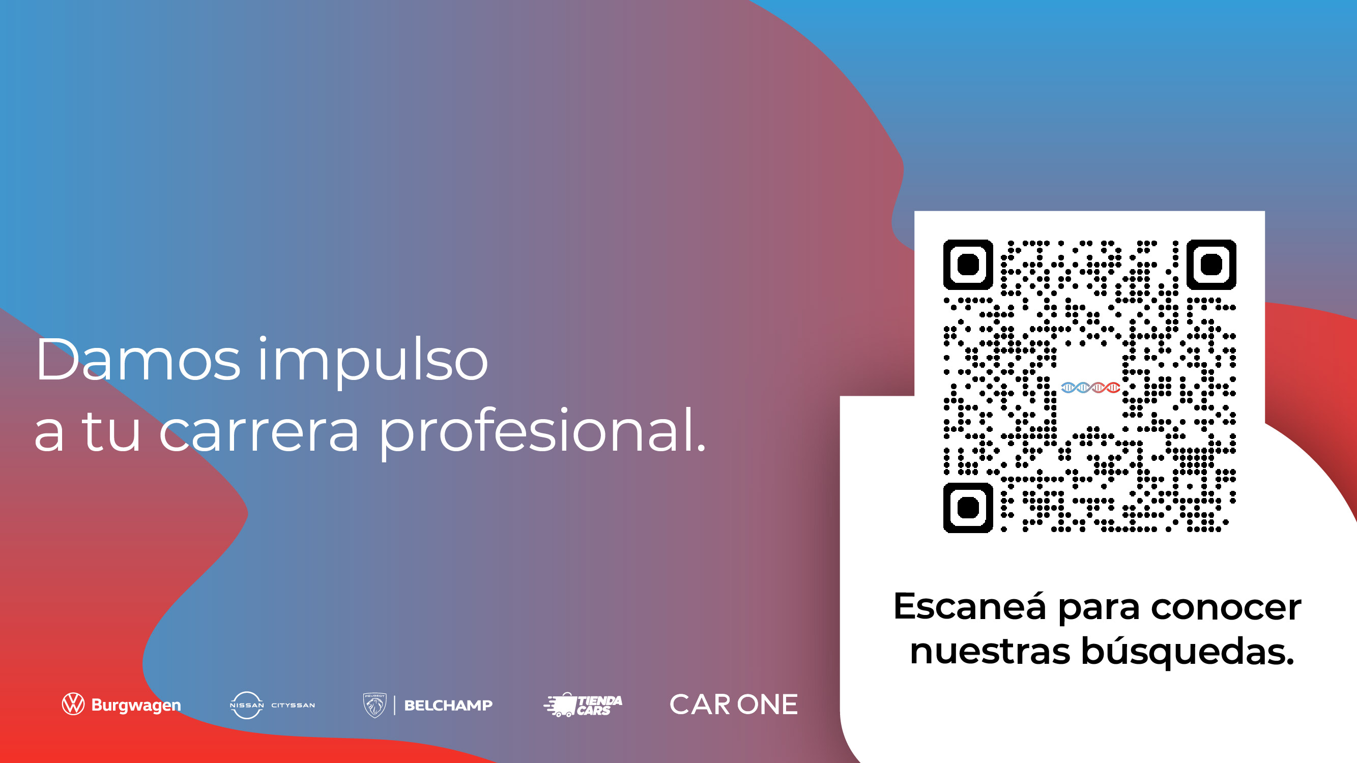 qr búsquedas