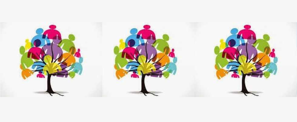 camaras web